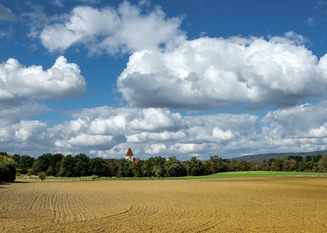 Guide complet pour l’achat de terrains en Allemagne